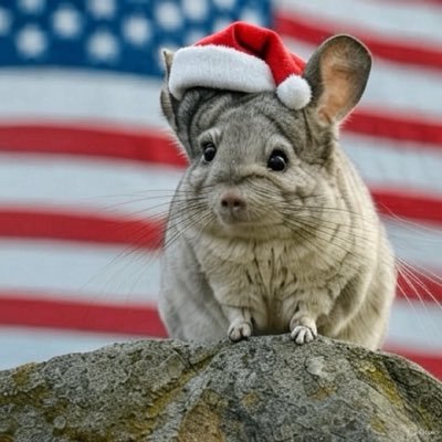 inextension's profile picture. 