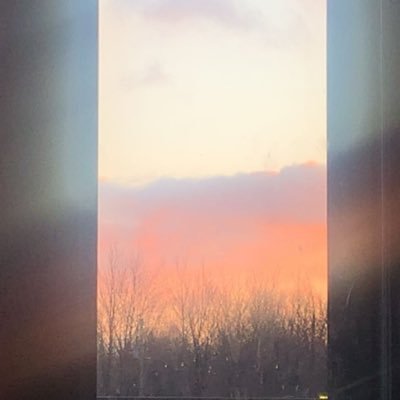 Brownie1925310's profile picture. 