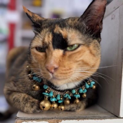 lo6dfu8jt's profile picture. แค่กลับมาใช้ชีวิตเป็นปกติ