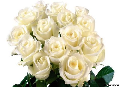 DNDZ_'s profile picture. БОЛТАЮ ОБО ВСЁМ ПО НЕМНОГУ. ВЗАИМНЫЙ ФОЛЛОВИНГ 100%