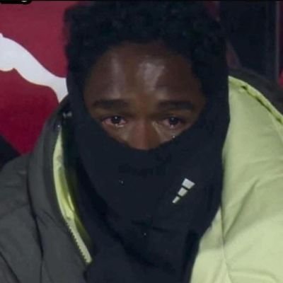 cnikorasu's profile picture. 