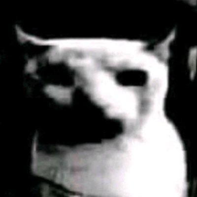 julianbincasa's profile picture. i like music. and the strokes