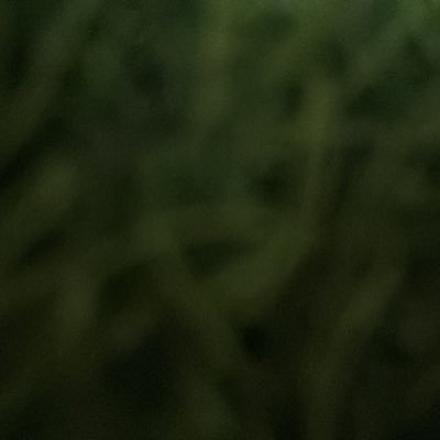 fafaaa002's profile picture. 