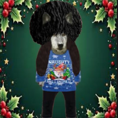 Rowan_M72's profile picture. Woman,mother,warrior🌷🗡
Here to support Ukraine and Georgia
Feed The Wolves 🇬🇪🐺🇺🇦@georgian_legion 
https://t.co/KHUvOiUdtr