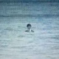 e0vQwm9xhH13386's profile picture. ポケモンGO ポケモンスリープログイン