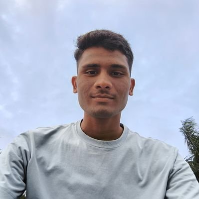 ankit_develops's profile picture. 