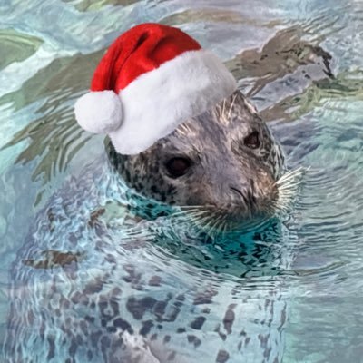 pm_nw5's profile picture. 自作発言•無断転載NG Please do not reprint without my permission 🦭AI学習禁止です 🦭Do not AI Learning🦭ショップhttps://t.co/Gxu4uEqQbj🦭 夫（@azarasi11100516）