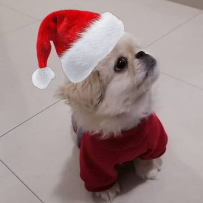 ozzy134340's profile picture. 🇪🇨
El mundo necesita más AMOR ⁱ ˡᵒᵛᵉ ᵗʰᵉ ᶜʰⁱᵇⁱ ᵒᶠ ᵇᵃⁿᵍᵗᵃⁿ