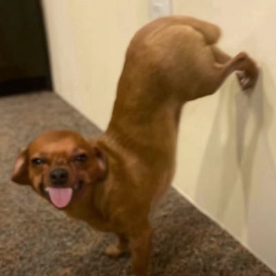 LostCieNega_'s profile picture. salt kills snails not playas