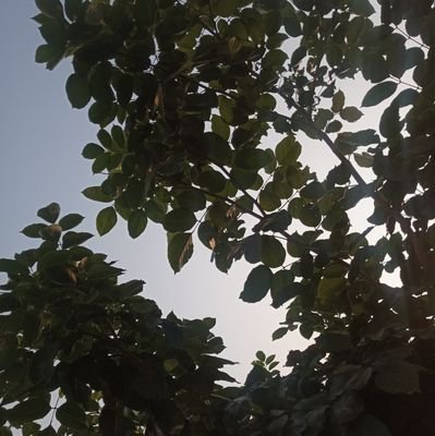 lov3naturem3's profile picture. चाय, किताबें और प्रकृति।                                                                      

                                              जाट