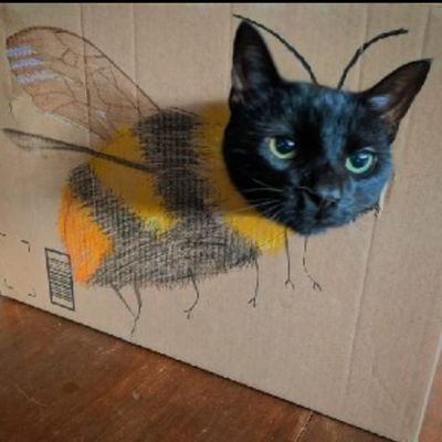 LlantasP75142's profile picture. 