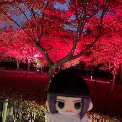 淡雪花