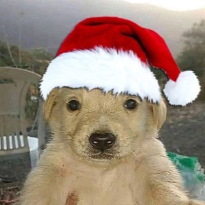 KioDaOne's profile picture. Isaiah 30:15 |