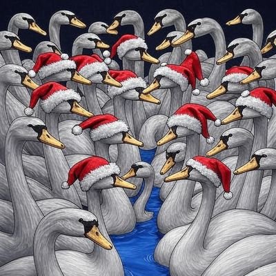 yutovgrover's profile picture. 