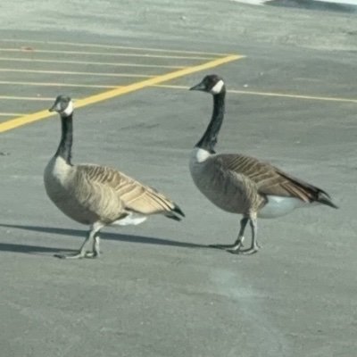 cody187610's profile picture. 