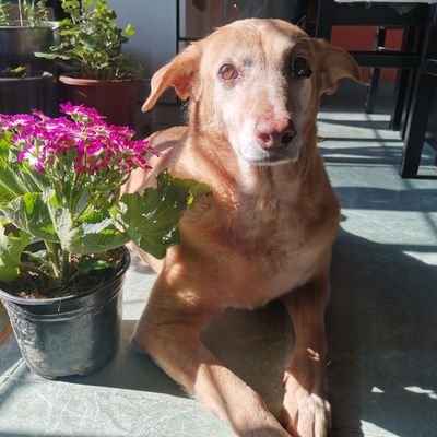 cole_mar's profile picture. 