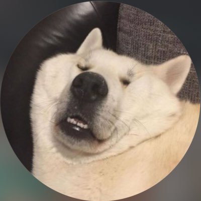 postcode_613's profile picture. ARMY since March 2023 |⛔️Solos/Shippers/Anti