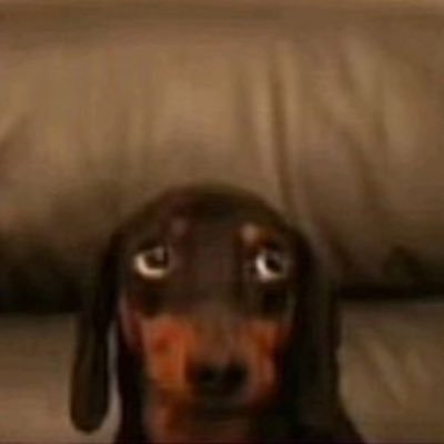 bito_caa's profile picture. Ig: https://t.co/D8S3eKM0SC