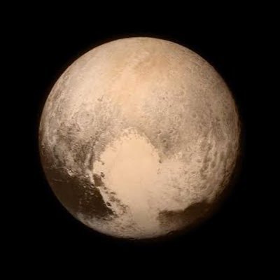 elonreevem63167's profile picture. 