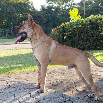 YakyFuente36251's profile picture. 