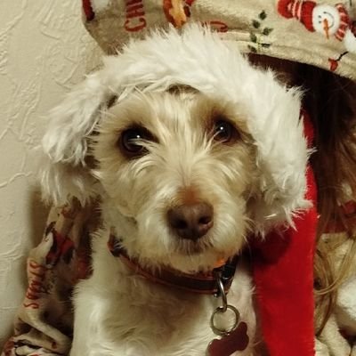 UnbearableTeee's profile picture. The socialism I believe in is everyone working for each other, everyone having a share of the rewards. It's the way I see football, the way I see life.