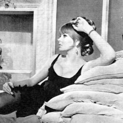 LunaWhim's profile picture. 