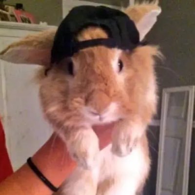 catletsky's profile picture. fictkin. multifandom (art f2u with credit) artstyle is inconsistent beware. active on @sociohackk. hai hii @solixsun 🤍