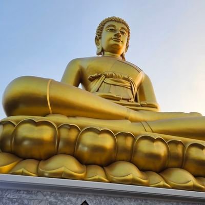 TongaKrypto's profile picture. business owner 
Traveler 
crypto investors