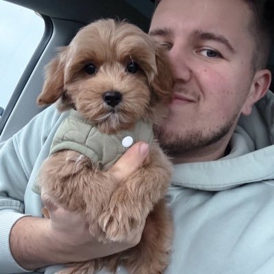 AllReloading's profile picture. 🐶 Puppies • Adoption & Sales Healthy, active pups. DM for pictures & prices🥰