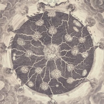 shadowstrophe's profile picture. 