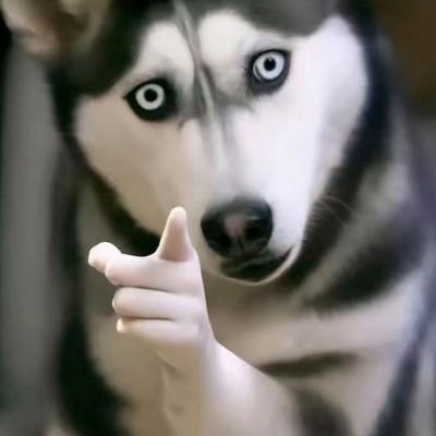 loan_______'s profile picture. pay us