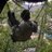 Crislscano's profile image