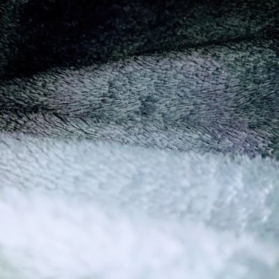 Mimi3i39's profile picture. 