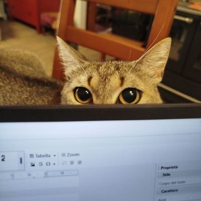 Rossa24394256's profile picture. 