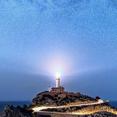 savoybonvoy's profile picture. 🌲🍁🇻🇦