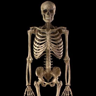 ghatotkach00's profile picture. धर्म से हिन्दू हूं, कर्म का पता नही।
पर लिब्रांडु नही हूं, विचारक जरूर हूं।