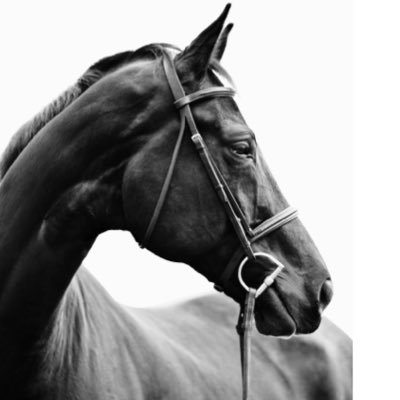 Jyad_sa's profile picture. أساعدك في اتخاذ قراراتك المالية 💸 | البزنس والمالية للمشغولين 👨🏻‍💻