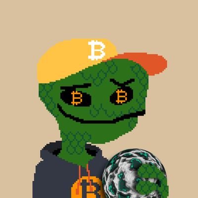 OrdinalsPoker's profile picture. Bitcoin Art collectoor