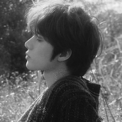 CaptureofMemory's profile picture. Visit the collection of memories captured by the amateur photographer’s camera.