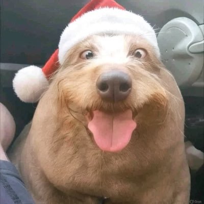 nhatanhzeroo's profile picture. just a chill guy #VforVictory