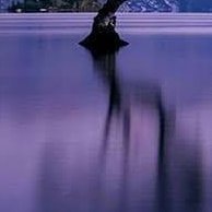 Milo9957's profile picture. Hello 🤗