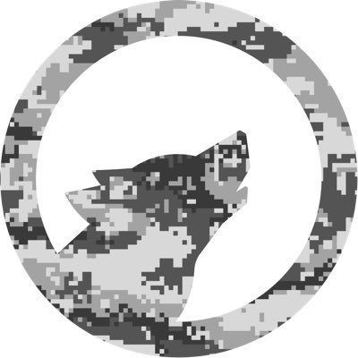 Wolf_Defense_'s profile picture. Your One Stop Shop For Daily Defense, Space, & Aviation Updates! A @Wolf_Financial Brand
