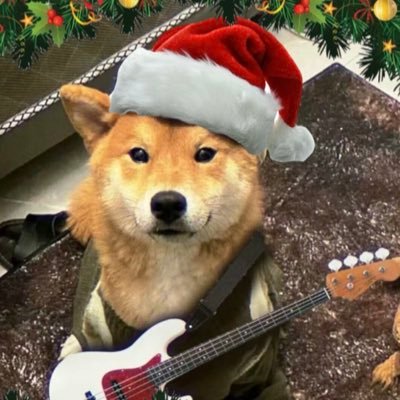 ploygoodluck's profile picture. 