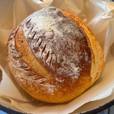 priyacyte's profile picture. she/her | semi professional nerd 🧠