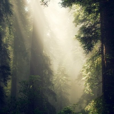 rs991a10's profile picture. 