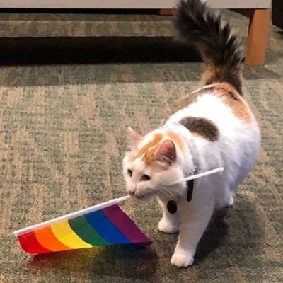 OnjaroA22692's profile picture. Queer refugees ,queer community leader south sudan refugee camp 
https://t.co/CD3hZvi4Eq