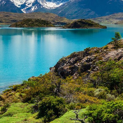 NACUNISDAKING's profile picture. im just chill my SECOND ACC😭