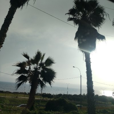 ClaudioNor196's profile picture. Ingeniero