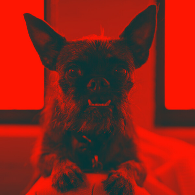 Oceans131_'s profile picture. just cause you can't see it doesn't mean it isn't there | mostly @WWE & @linkinpark