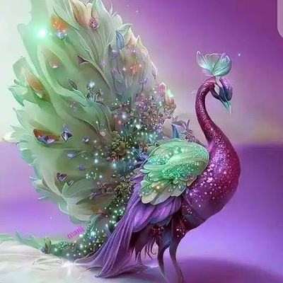 Maikwaiak's profile picture. 